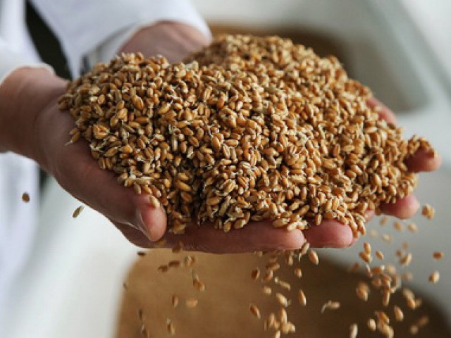 Hyaluronic acid and biodegradable plastic began to be made from Russian grain.